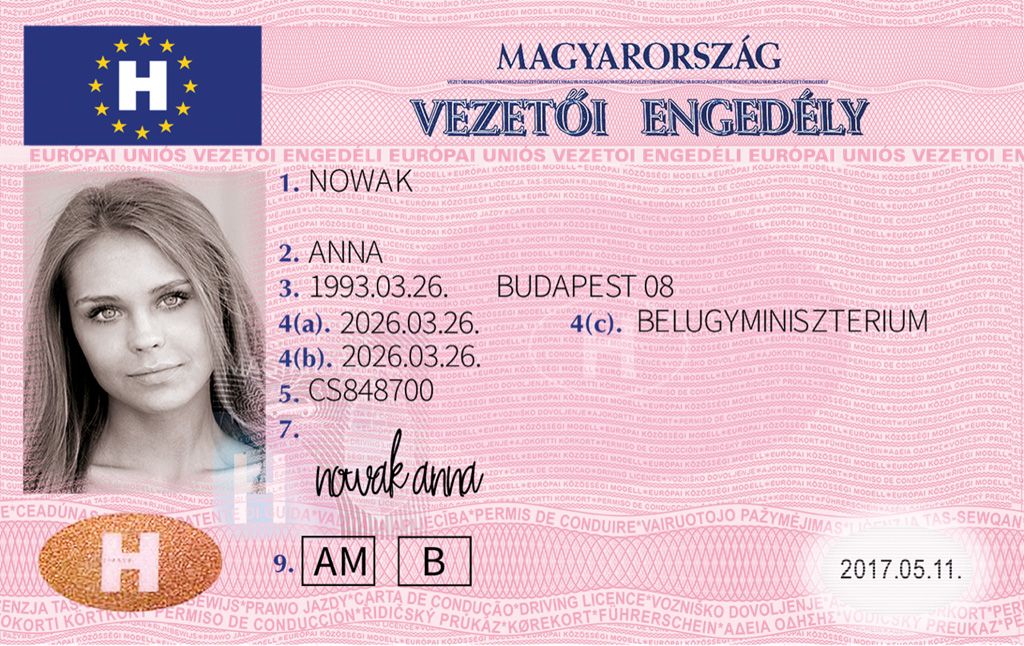 Digitális nemzetközi jogosítványkép készítés / Make Photo Online