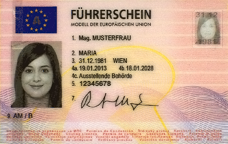 Foto für den österreichischen Führerschein / Make Photo Online